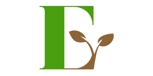 Group 1000001559 (2)